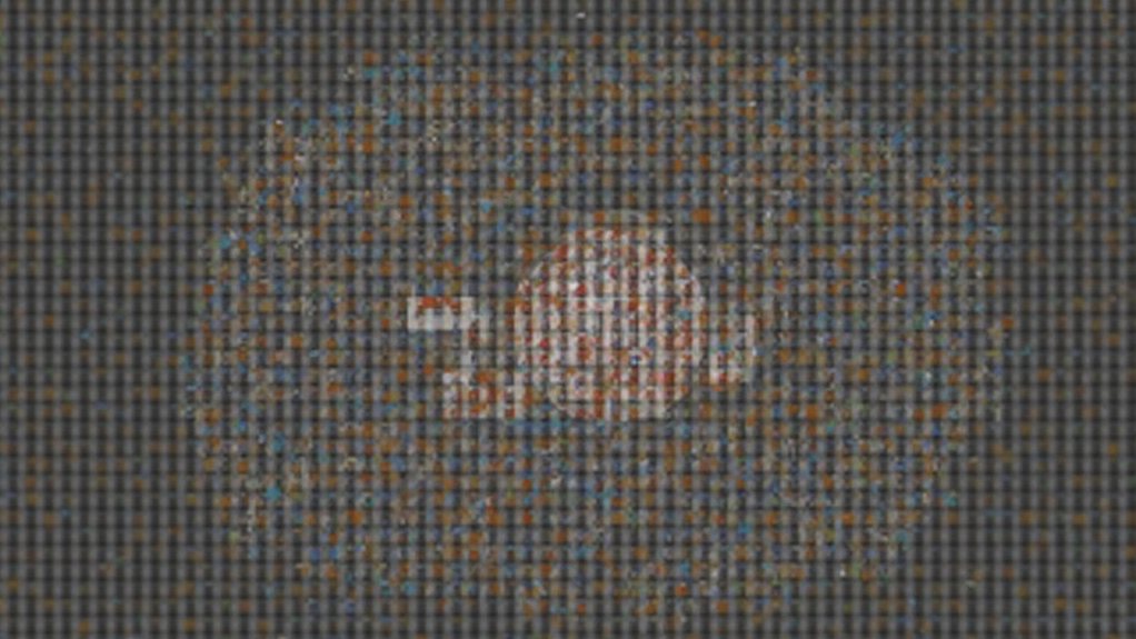 protecting minority owner rights